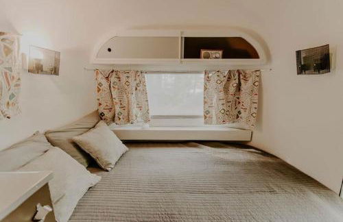 Streamside ShinyTiny Airstream in the Smokies - Foto 7