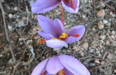 Apartamento en pleno Montseny Mas Romeu Turisme Rural - Foto 38