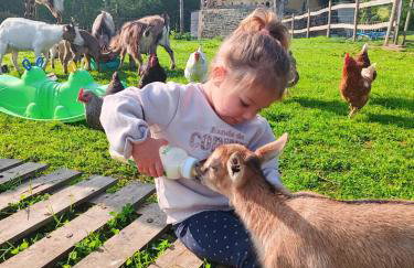 Le Gite du Ranch Normand - Photo 30