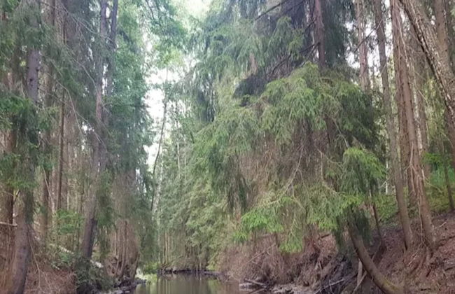 4 Person Holiday Home in Granna-by Traum - Photo 16