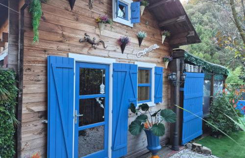 le petit chalet cevenol - Foto 2