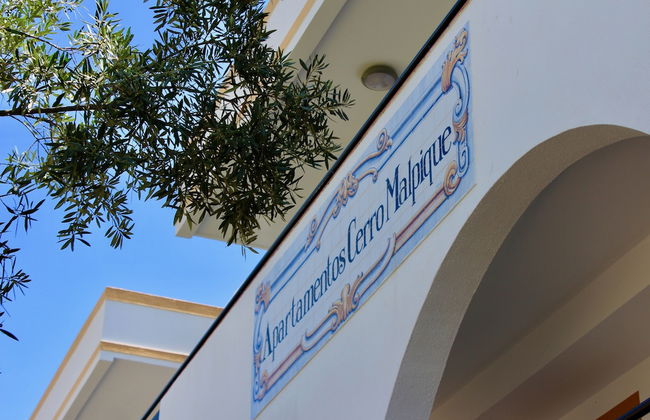 Alfagar Cerro Malpique - Photo 33