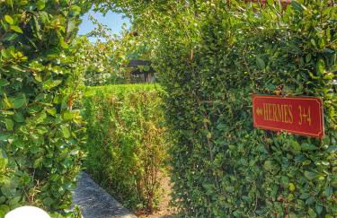 Loriet Hotel - Photo 135