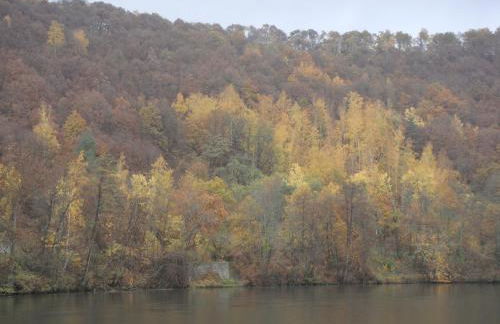 gite le CARMEL - Foto 32