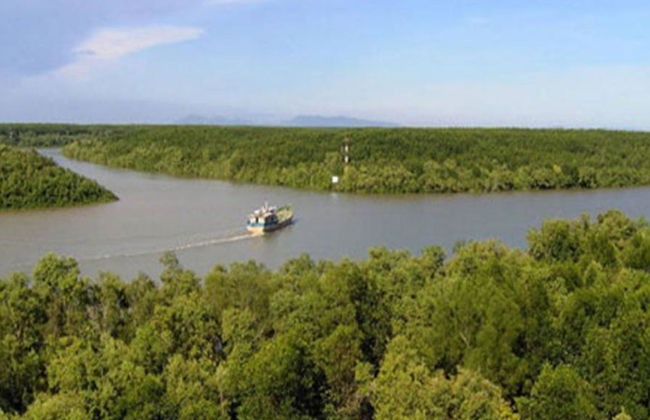 Vam Sat Mangrovenwald-Tour ab Ho-Chi-Minh-Stadt - Foto 1