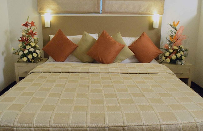 AMC Comforts at Brigade Homestead - Photo 6