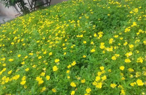 LuNesco alloggio DiVino, Chambre d'amis - Foto 17