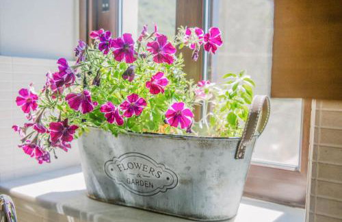 Teatro Villa - Foto 10