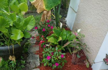 Beautiful Vacation Home Across From Lake Okeechobee - Foto 96