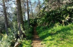 MAIN SQUARE Apartments - Photo 52