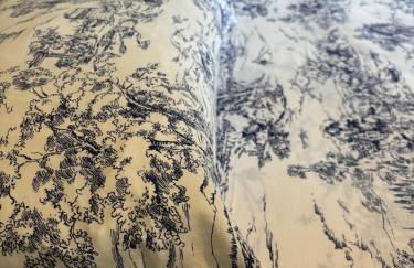 Rosa del lago - Foto 13