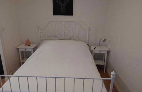 LE PHENIX à internet haut débit & parking - Foto 48