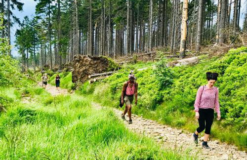 Flowmove Laliki - Foto 12