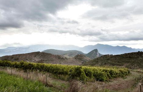 Apartaments Cal Borda - Photo 48