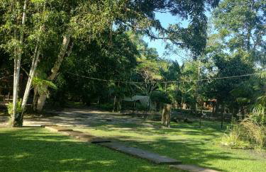 Chácara Bela Vista - Photo 34