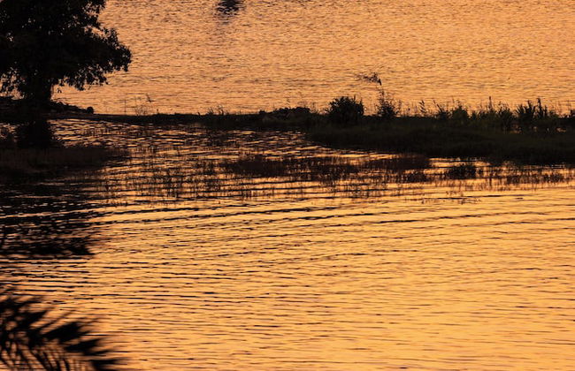 Relaxation - Foto 60