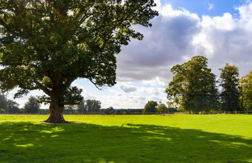 Park View - Ukc4925 - Photo 16