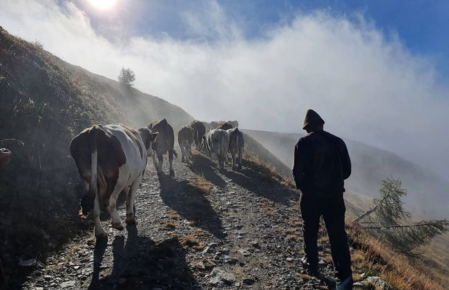 Mascherhof - Foto 57