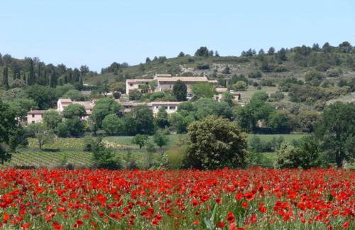 Niché au cœur de la Provence - VERNEGUES - Foto 17