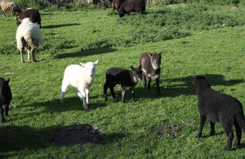 Pretty barn conversion in seaside village - Photo 14