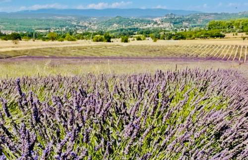 villa luxueuse en Provence, Luberon - Foto 39