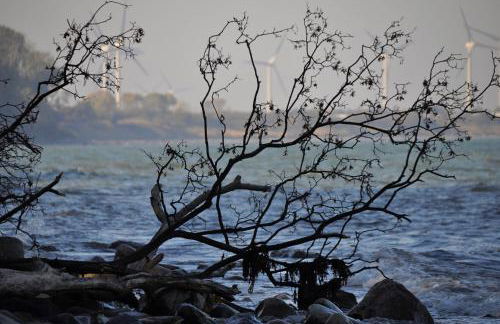 Katharinenhof "Sunny" - Foto 29