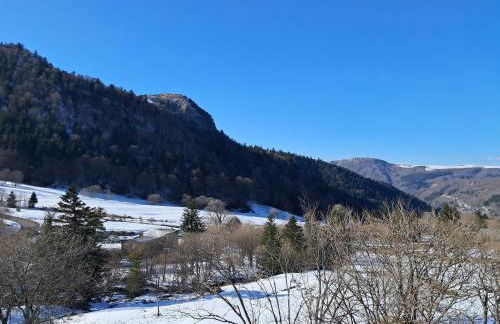 Appartement F2 au pied des pistes, 6 couchages, Mont-Dore - FR-1-415-175 - Foto 11