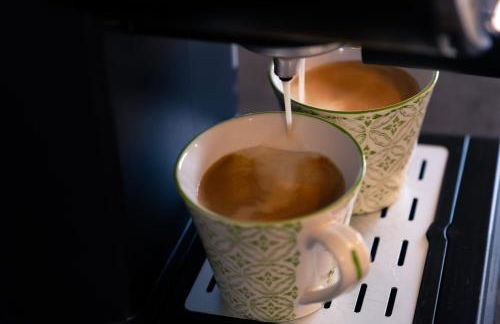 Les Orchidées - Foto 27