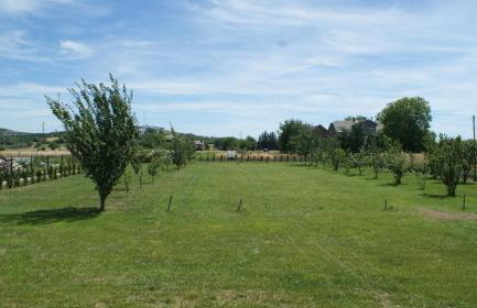 CARiMI RESIDENCE - Photo 9