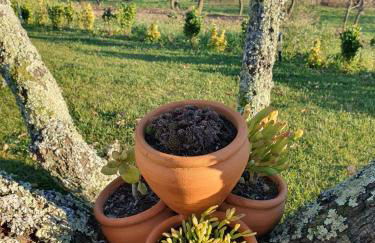 Quinta de Cerdeiró - Foto 22