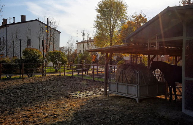 Agriturismo Corte Benetti - Foto 49