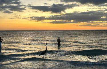 Beach Retreat in Redington Shores - Foto 37