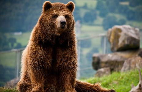 Apto Valle Encantado, Piscina y Vistas, TU ESCAPADA PERFECTA - Foto 28