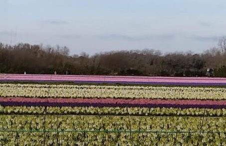 Trouz Ar Mor - Photo 21