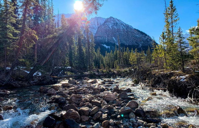 Tour in elicottero e trekking alle Rocky Mountains - Foto 5