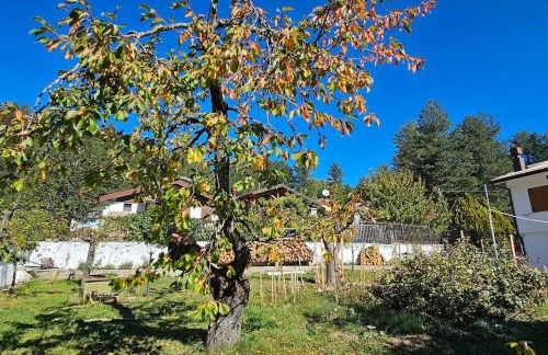 Villa Alba - Foto 29