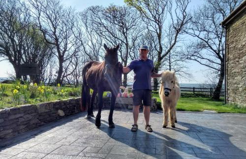 Fentrigan Manor Farm & Holiday Cottages - Foto 68