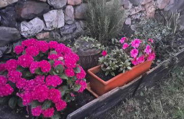 La casa de abajo - Foto 18