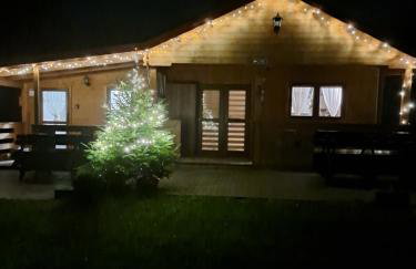 Domki Borowiackie nad brzegiem jeziora - Foto 80