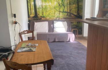 Studio Boiscorde, coeur du Perche - Foto 1