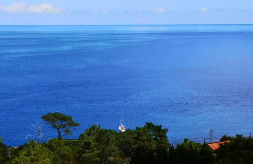 Adega Baía Azul - The essence of Pico - Photo 19