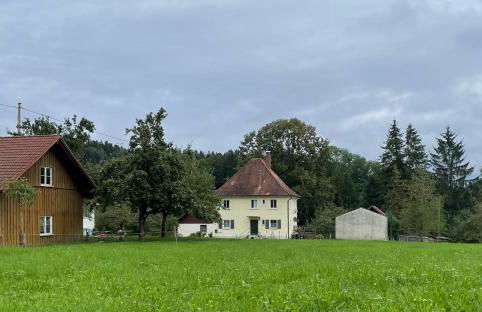 Sonnenschein - Foto 15