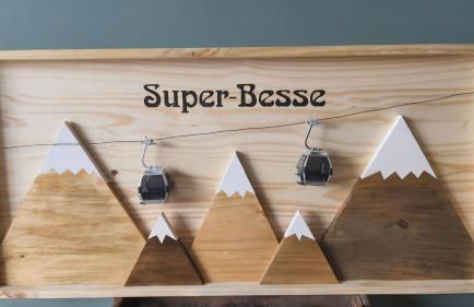 La forêt des Marmottes - Photo 33