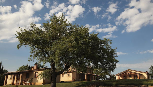 Agriturismo Belvedere Di Pierini E Brugi - Foto 2, Imagen principal