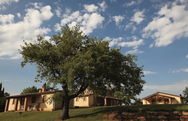 Agriturismo Belvedere Pierini e Brugi - Foto 1