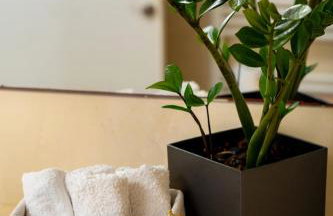 Anna’s Villa - Photo 28