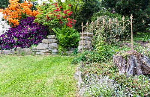 Agroturystyka Wzgórze Magnolii - Foto 23