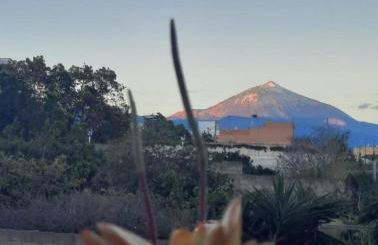 Duplex India - Foto 34