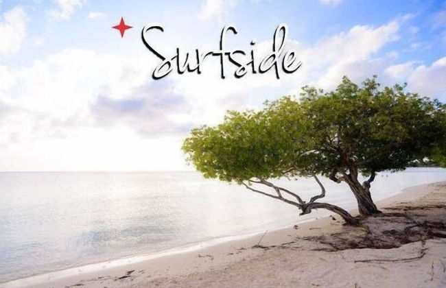 Turibana Plaza - Foto 67