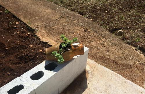 La casa di Colino e Annina - Foto 33